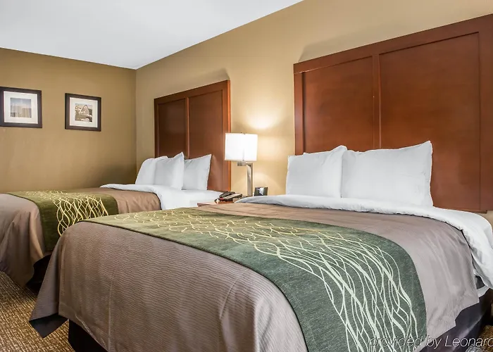 Hotel Comfort & Pittsburgh Pittsburgh