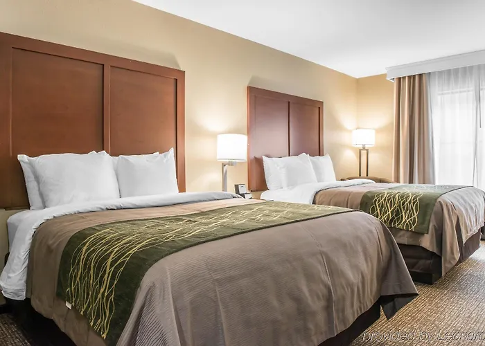 Hotel Comfort & Pittsburgh 2*