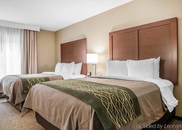 Hotel Comfort & Pittsburgh 2*