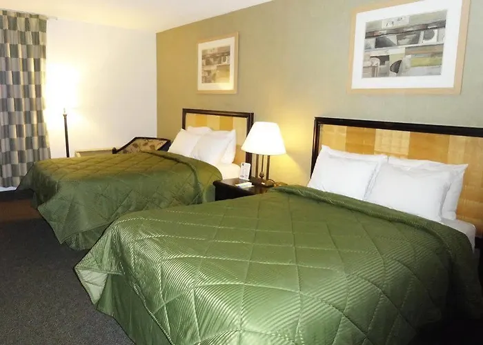 Comfort & Pittsburgh Hotel 2*